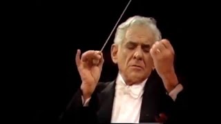 Gustav Mahler  Adagietto | Leonard Bernstein (4K)