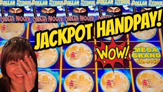 MY WILD NINJA BOYFRIEND GIVES ME A JACKPOT AGAIN!