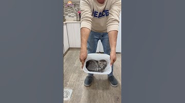 just for fun. #monkey #drawing #animation #cute #art #cover #iwana #iwanababy #lusy #music