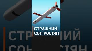 😱РОСІЯНИ СТРАШЕННО НАЛЯКАНІ РАКЕТАМИ Tomahawk зі США #shorts #росіяни  #tomahawk image