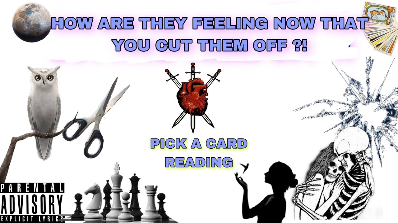 (PICK A CARD) HOW ARE THEY FEELING NOW THAT YOU CUT THEM OFF ?!