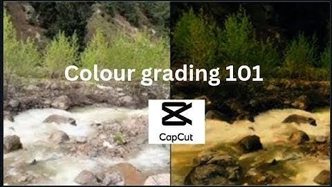 Master Capcut Colour Grading! EASY Tutorial for Beginners in 2024!