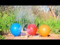 Experiment: Balloons with Amazing Reaction Machsticks Domino