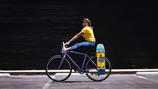 2022 Fairdale Bikes / Limited Edition NORA Lookfar