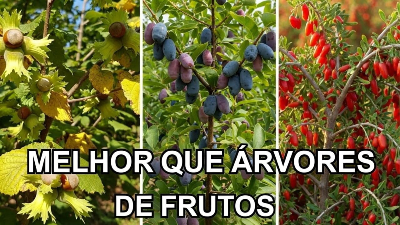 Estes Pequenos Arbustos Produzem 20X MAIS Alimento Que Árvores Frutíferas!