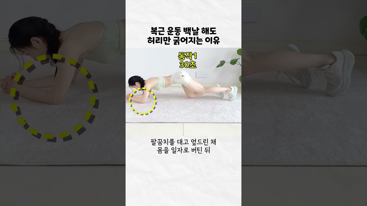 엎드려서 하는 뱃살 삭제 속근육 운동 #뱃살 #뱃살빼는법 #홈트
