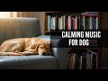 12 hours of Deep Sleep Dog Music : Calming Sounds for Separation Anxiety Relief 😴🐾 Soothing Vibes