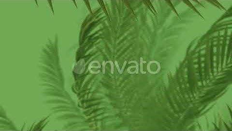 Green Jungle In Tropical Green Fog 4k | Motion Graphics - Envato elements