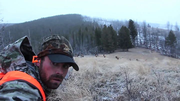 Late Season Elk Hunt in Montana with Remi Warren