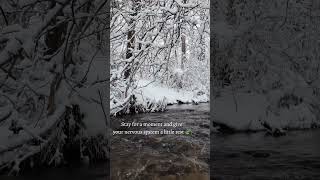 Silent winter stream ❄️ Let your mind slow down