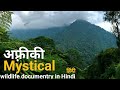 The mystical forest     africa wildlife documentry in hindi