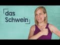 German Lesson (209) - Funny German Expressions Using the Word Pig - Vocab and Expressions - B1