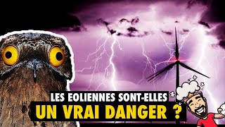 8 FAKE NEWS SUR LES ÉNERGIES RENOUVELABLES