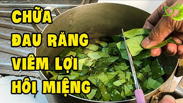 Chỉ Với Nắm Lá Chanh Sâu Răng Hôi Miệng Thậm Chí Viêm Lợi Cũng Khỏi Ngay Tức Thì Không Cần Đi Nha Sỹ