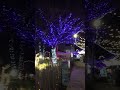 Omeath Co.Louth Ireland is like a winter wonderland 🎄⛄️🎄🎅🎄⛄️