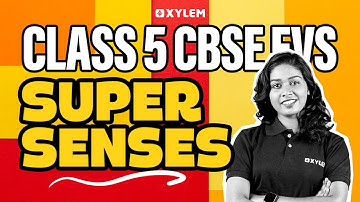 Class 5 CBSE EVS | Super Senses | Xylem Class 5 CBSE