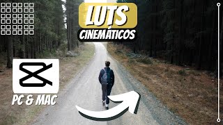 LUTS CINEMÁTICOS 👀 | CORRECCIÓN de COLOR en CAPCUT Computadora - PACK DE REGALO 🎁