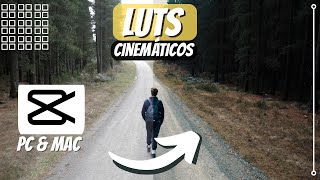 LUTS CINEMÁTICOS 👀 | CORRECCIÓN de COLOR en CAPCUT Computadora - PACK DE REGALO 🎁 screenshot 3