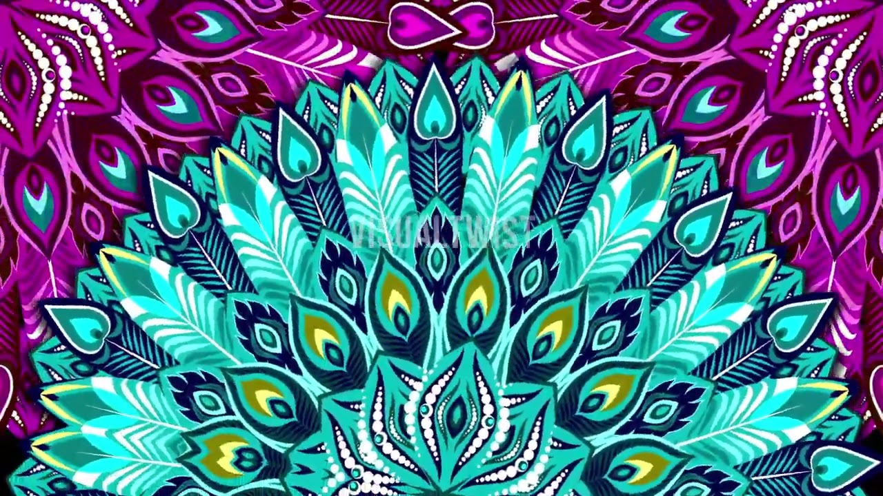 Peacock Cartoon Feathers | Mapping | Loop | Wedding Mapping | Premium Loop