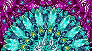 Peacock Cartoon Feathers | Mapping | Loop | Wedding Mapping | Premium Loop