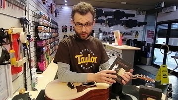 Taylor Guitar Maintenance Tips and Tricks