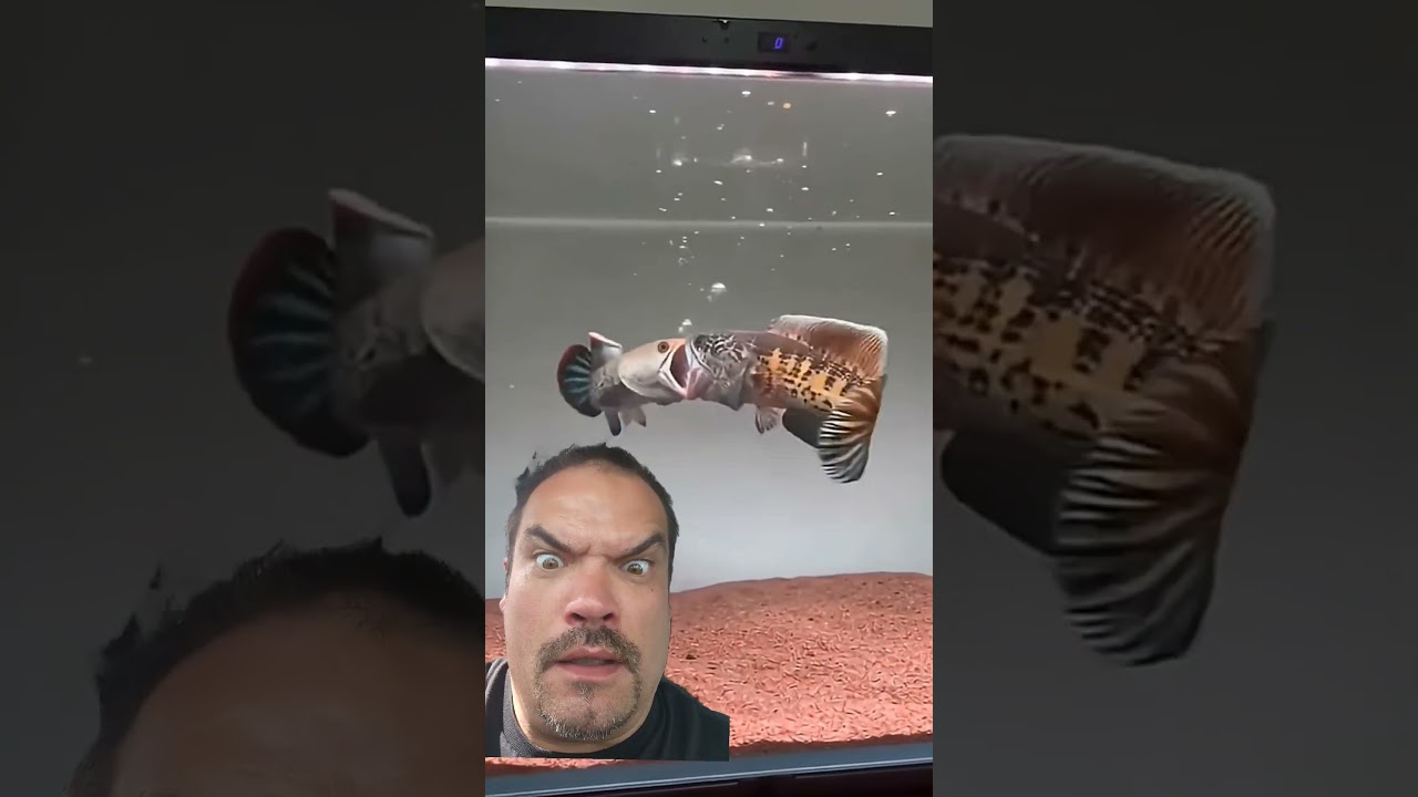 JESUS!!!