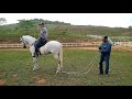 Aprenda a fazer um exercício para posterior de cavalo!