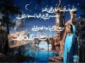 هاله الصباغ النجمة سالت 