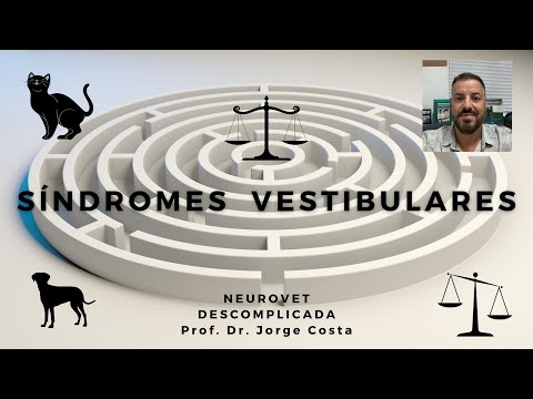 Vídeo: Sintomas da doença vestibular em cães