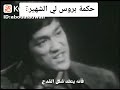 حكمة بروسلي  