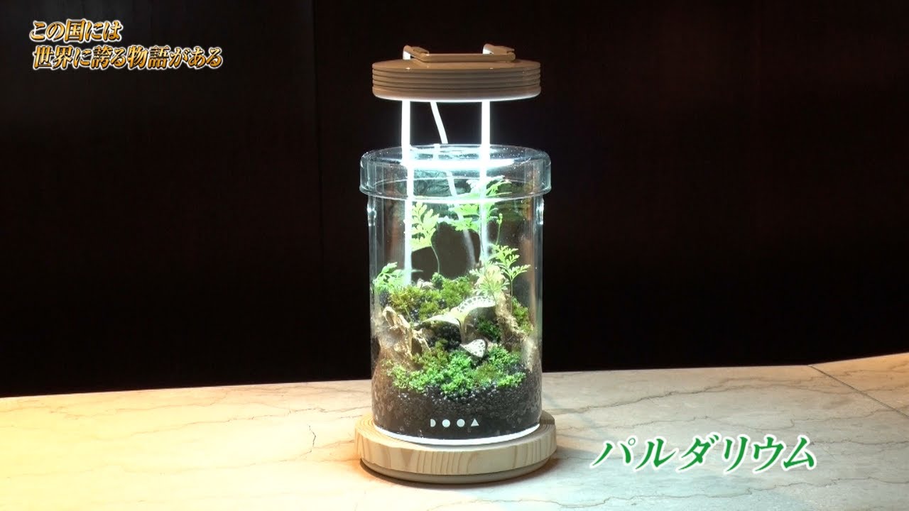 飛鳥II船内ワークショップ「アクアデザインアマノ」編 - YouTube