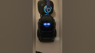 pet robot vector robot