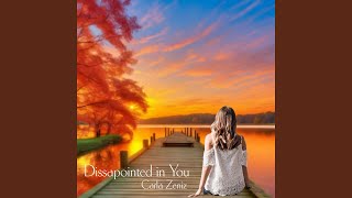 Dissapointed in You