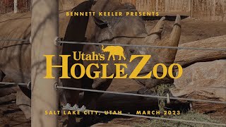 Field Trip to Utah&#39;s Hogle Zoo