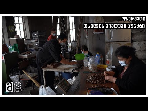 ოზურგეთი, თხილის მიმღები პუნქტი