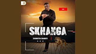 Zikhonkotha ehambayo