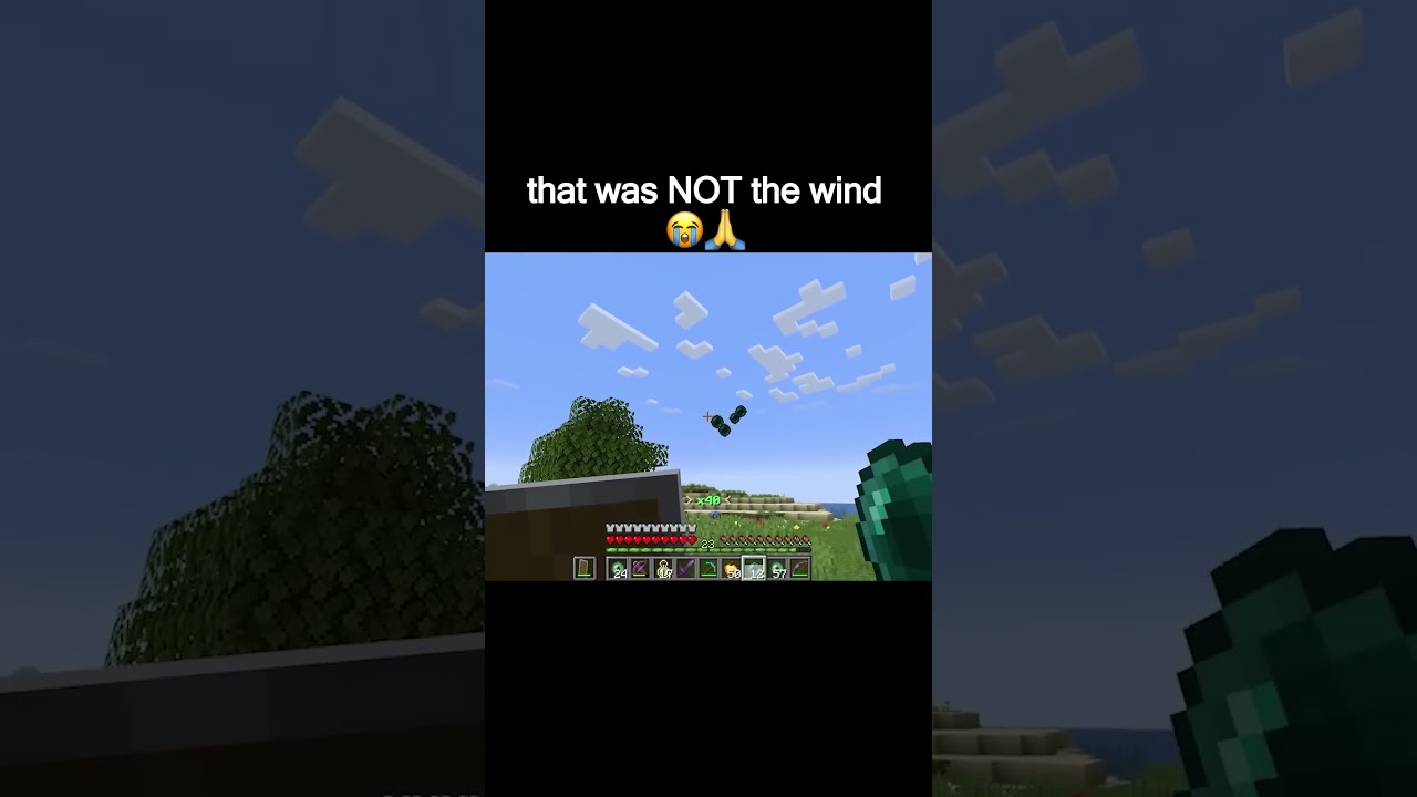that was NOT the wind 😭🙏