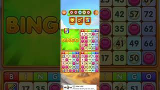 Bingo Klondike screenshot 2