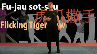 27.  Fu-jau sot-sau: Choy Li Fut Kung Fu Hand Technique screenshot 5