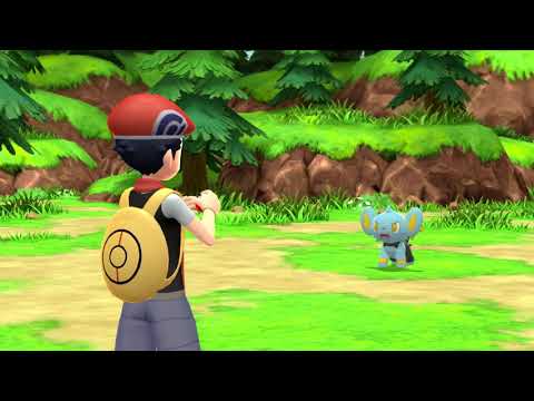 Return to the Sinnoh region in Pokmon Brilliant Diamond and Pokmon Shining Pearl!