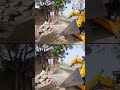 Bulldozer Action: हजरत नगर गढ़ी में अवैध मजार के खिलाफ अतिक्रमण विरोधी चलाया गया अभियान। India TV