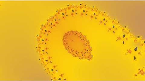 perpendicular mandelbrot zoom 1