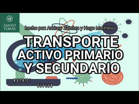 Vídeo: Diferencia Entre Transporte Activo Primario Y Secundario