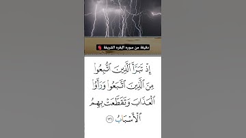 سورة البقرة🫀 #قرآن #قران_كريم #ختم_القران #تلاوة_خاشعة #تلاوة_هادئة #سورة_البقرة #السعودية #اسلاميات