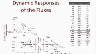 123 Lecture 10