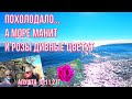 Алушта 10 11 21г.ПОХОЛОДАЛО, море манит и розы дивные цветут! Встреча с каналом ЗНАКОМЫЕ ПРИКЛЮЧЕНИЯ