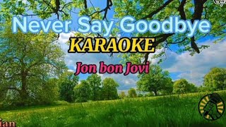 Download Lagu NEVER SAY GOODBYE. KARAOKE version  Bon Jovi MP3
