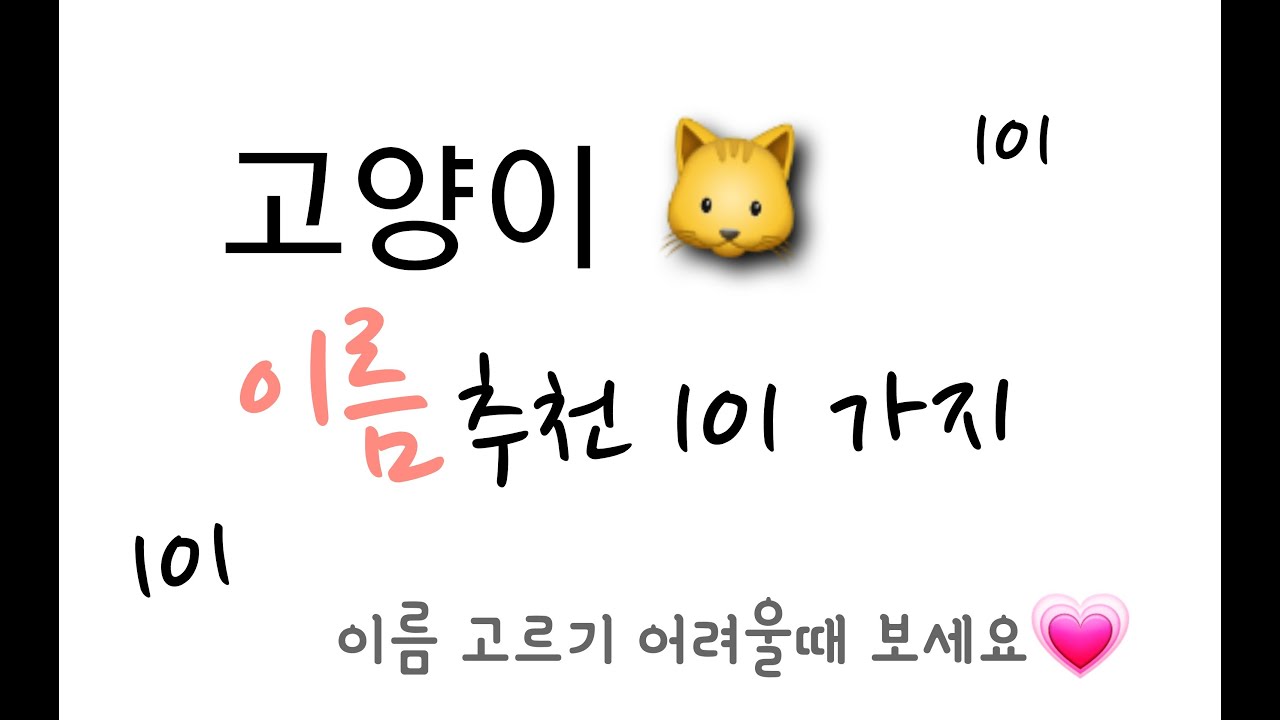 고양이 이름 추천 101가지!💖이렇게나 많다고?? 101가지 이름 같이봐요 고양이/동물 이름 짓기 어려울때😇