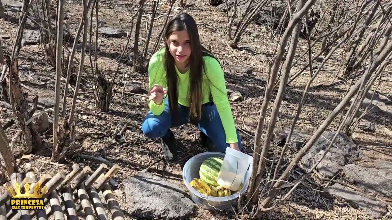 O perigo invadiu a arapuca