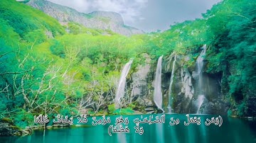 بكاء الشيخ رعد الكردي /سوره طه💙